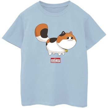 Abbigliamento Bambina T-shirts a maniche lunghe Disney Big Hero 6 Baymax Kitten Pose Blu