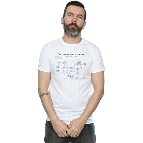 Abbigliamento Uomo T-shirts a maniche lunghe The Big Bang Theory Friendship Algorithm Bianco