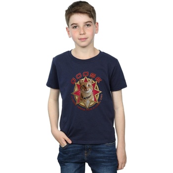 Abbigliamento Bambino T-shirt & Polo Marvel Captain  Goose Cool Cat Blu