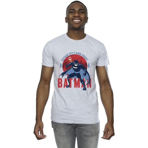 Abbigliamento Uomo T-shirts a maniche lunghe Dc Comics Batman Gotham City Grigio