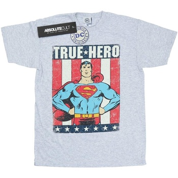 Abbigliamento Bambino T-shirt maniche corte Dc Comics Superman True Hero Grigio