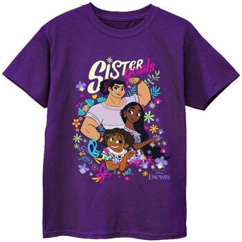 Abbigliamento Bambina T-shirts a maniche lunghe Disney Encanto Sister Goals Viola