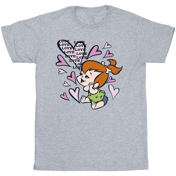 Abbigliamento Bambina T-shirts a maniche lunghe The Flintstones Pebbles Love Love Love Grigio