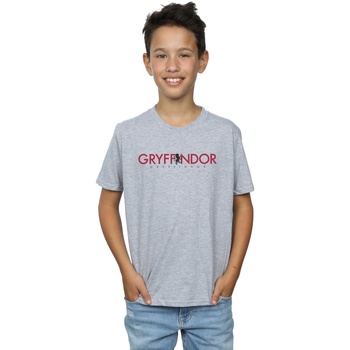 Abbigliamento Bambino T-shirt maniche corte Harry Potter Gryffindor Text Grigio