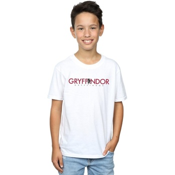 Abbigliamento Bambino T-shirt & Polo Harry Potter Gryffindor Text Bianco
