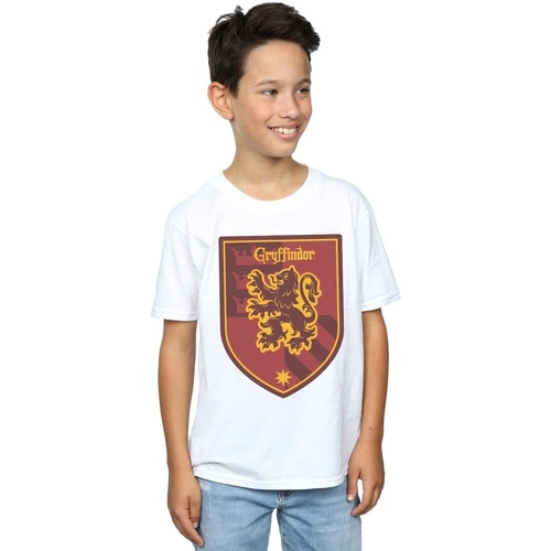 Abbigliamento Bambino T-shirt & Polo Harry Potter Gryffindor Crest Flat Bianco