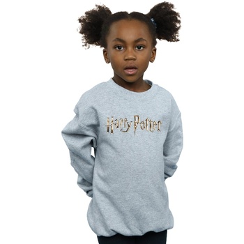 Abbigliamento Bambina Felpe Harry Potter Full Colour Logo Grigio