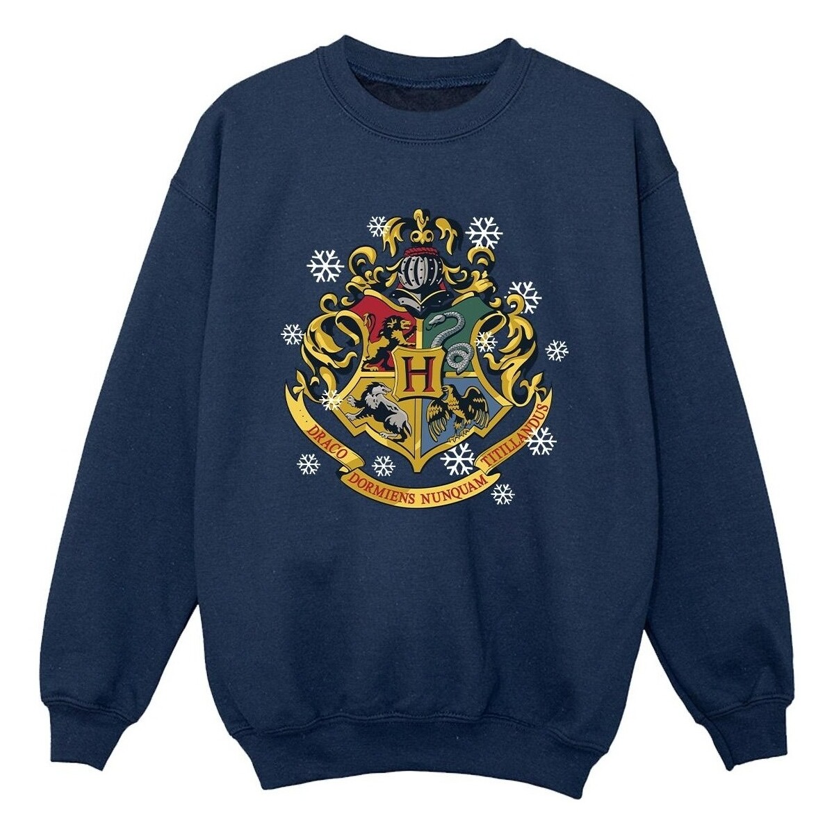 Abbigliamento Bambino Felpe Harry Potter Christmas Crest Blu