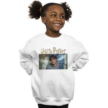 Abbigliamento Bambina Felpe Harry Potter Steam Ears Bianco