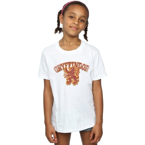 Abbigliamento Bambina T-shirts a maniche lunghe Harry Potter Gryffindor Sport Emblem Bianco
