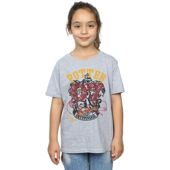 Abbigliamento Bambina T-shirts a maniche lunghe Harry Potter Gryffindor Seeker Grigio