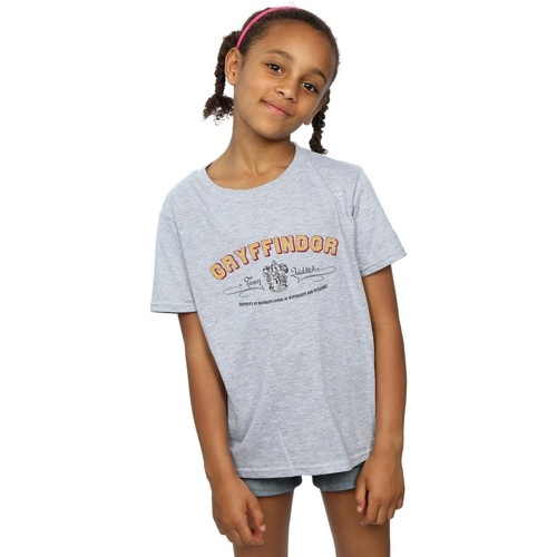 Abbigliamento Bambina T-shirts a maniche lunghe Harry Potter Gryffindor Team Quidditch Grigio