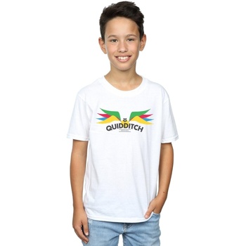 Abbigliamento Bambino T-shirt maniche corte Harry Potter Snitch Wings Pastels Bianco