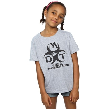 Abbigliamento Bambina T-shirts a maniche lunghe Harry Potter Department Of Magical Transportation Logo Grigio