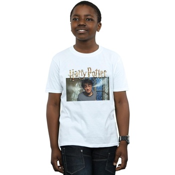 Abbigliamento Bambino T-shirt maniche corte Harry Potter Steam Ears Bianco