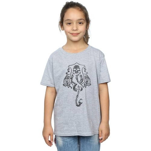 Abbigliamento Bambina T-shirts a maniche lunghe Harry Potter Dark Mark Crest Grigio