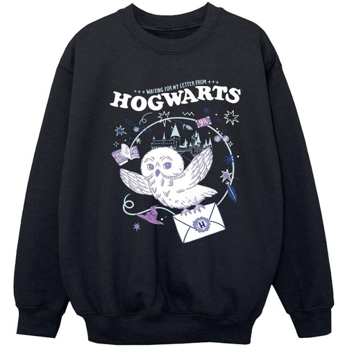 Abbigliamento Bambina Felpe Harry Potter Owl Letter From Hogwarts Nero