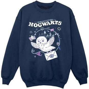 Abbigliamento Bambina Felpe Harry Potter Owl Letter From Hogwarts Blu