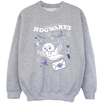 Abbigliamento Bambina Felpe Harry Potter Owl Letter From Hogwarts Grigio