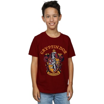 Abbigliamento Bambino T-shirt & Polo Harry Potter Gryffindor Crest Multicolore