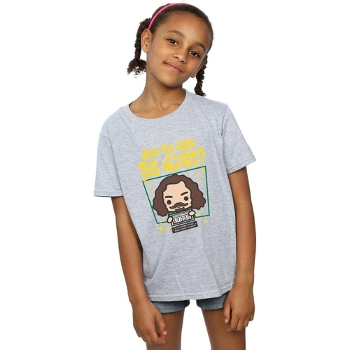 Abbigliamento Bambina T-shirts a maniche lunghe Harry Potter Sirius Black Azkaban Junior Grigio