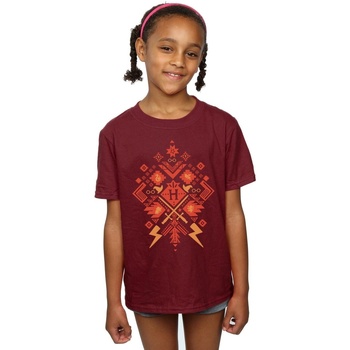 Abbigliamento Bambina T-shirts a maniche lunghe Harry Potter Christmas Fair Isle Multicolore