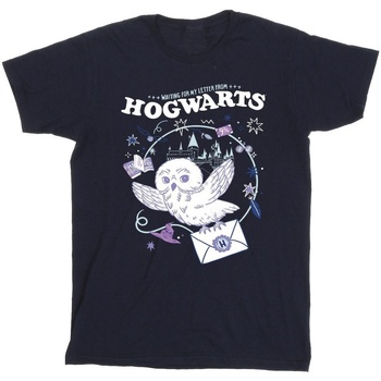 Abbigliamento Bambino T-shirt maniche corte Harry Potter Owl Letter From Hogwarts Blu