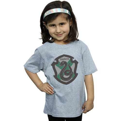 Abbigliamento Bambina T-shirts a maniche lunghe Harry Potter Slytherin Crest Flat Grigio