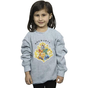 Abbigliamento Bambina Felpe Harry Potter Hogwarts School Emblem Grigio