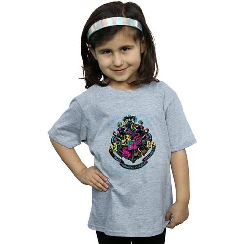 Abbigliamento Bambina T-shirts a maniche lunghe Harry Potter Neon Hogwarts Crest Grigio