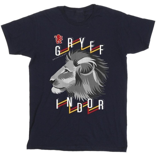 Abbigliamento Bambino T-shirt & Polo Harry Potter Gryffindor Lion Icon Blu