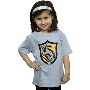 Abbigliamento Bambina T-shirts a maniche lunghe Harry Potter Hufflepuff Crest Flat Grigio