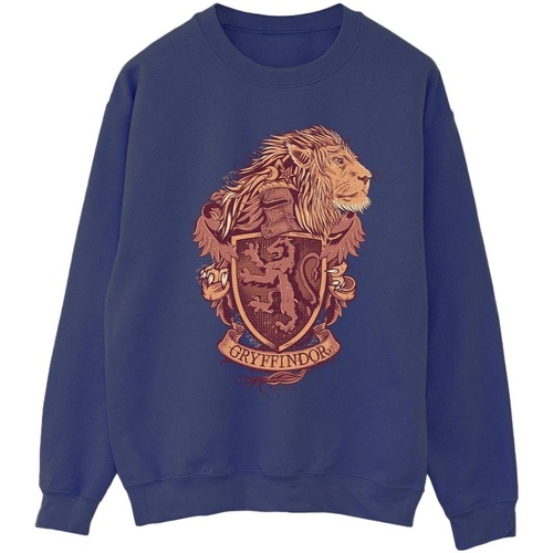 Abbigliamento Donna Felpe Harry Potter Gryffindor Sketch Crest Blu