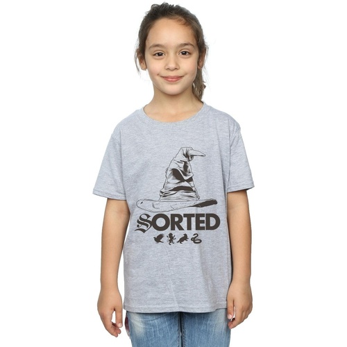 Abbigliamento Bambina T-shirts a maniche lunghe Harry Potter BI21610 Grigio