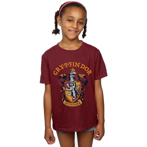 Abbigliamento Bambina T-shirts a maniche lunghe Harry Potter  Multicolore