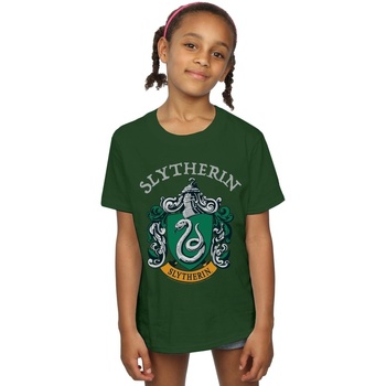 Abbigliamento Bambina T-shirts a maniche lunghe Harry Potter Slytherin Crest Verde
