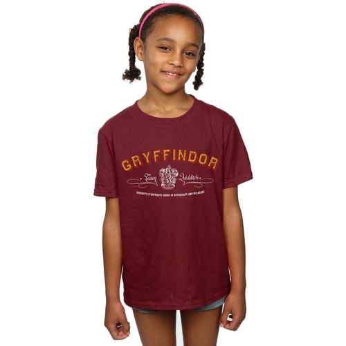 Abbigliamento Bambina T-shirts a maniche lunghe Harry Potter Gryffindor Team Quidditch Multicolore