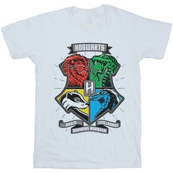 Abbigliamento Bambina T-shirts a maniche lunghe Harry Potter Hogwarts Toon Crest Bianco