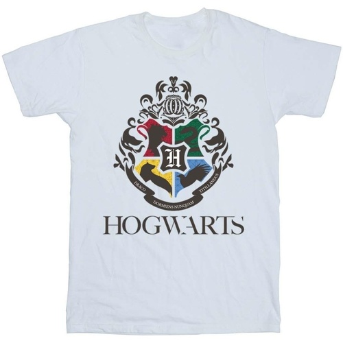 Abbigliamento Bambina T-shirts a maniche lunghe Harry Potter Hogwarts Crest Bianco