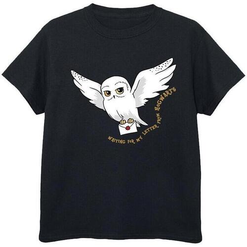 Abbigliamento Bambina T-shirts a maniche lunghe Harry Potter Owl Letter Nero
