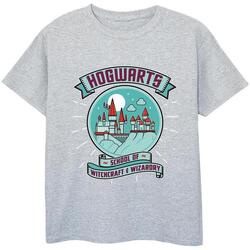 Abbigliamento Bambina T-shirts a maniche lunghe Harry Potter Hogwarts Sphere Grigio