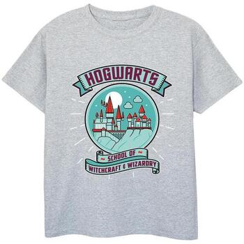 Abbigliamento Bambina T-shirts a maniche lunghe Harry Potter BI21765 Grigio