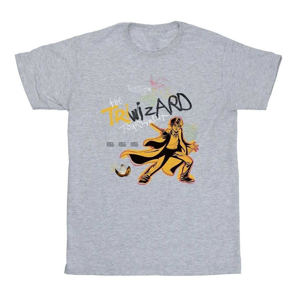 Abbigliamento Bambina T-shirts a maniche lunghe Harry Potter Triwizard Poster Grigio