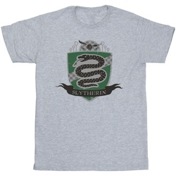 Abbigliamento Bambina T-shirts a maniche lunghe Harry Potter Slytherin Chest Badge Grigio