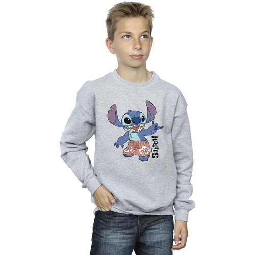 Abbigliamento Bambino Felpe Disney Lilo & Stitch Bermuda Shorts Grigio
