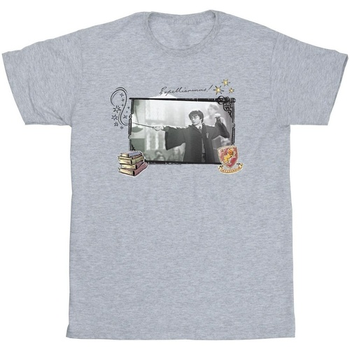 Abbigliamento Bambina T-shirts a maniche lunghe Harry Potter BI21995 Grigio