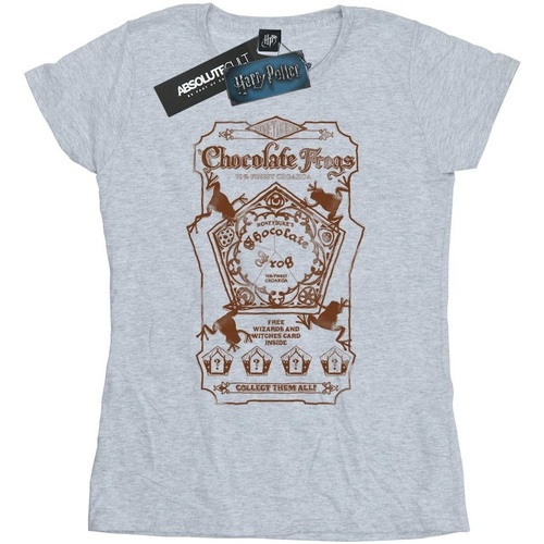 Abbigliamento Donna T-shirts a maniche lunghe Harry Potter Chocolate Frogs Mono Label Grigio