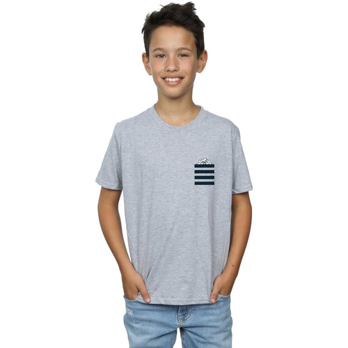 Abbigliamento Bambino T-shirt maniche corte Dessins Animés Taz Stripes Faux Pocket Grigio