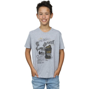 Abbigliamento Bambino T-shirt maniche corte Dessins Animés Taz Energy Boost Grigio