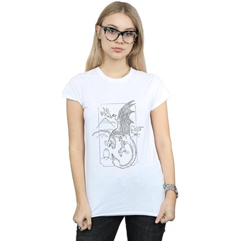 Abbigliamento Donna T-shirts a maniche lunghe Harry Potter Dragon Line Art Bianco